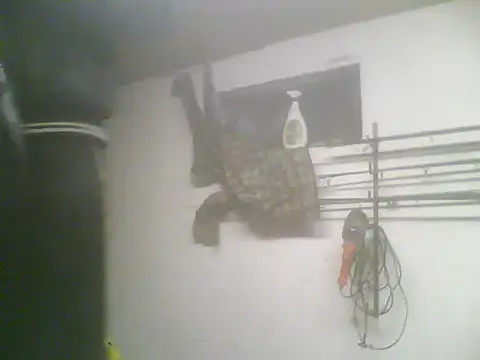 Snapshot of Rejtelmesest chatting on 02/22/25, 05:24 Rejtelmesest online show from 02/22/25, 05:24