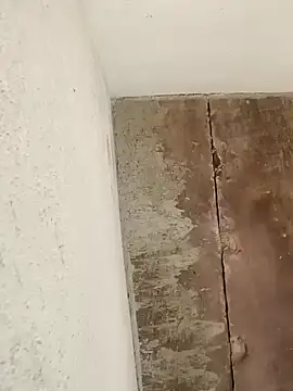 Sweet Dhara online show from 01/13/25, 05:44