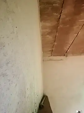 Sweet Dhara online show from 01/16/25, 06:03