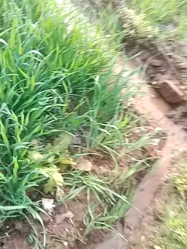 Sweet Dhara online show from 01/22/25, 03:20