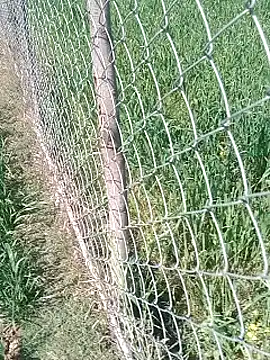 Sweet Dhara online show from 02/12/25, 06:29