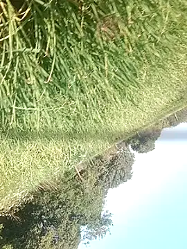 Sweet Dhara online show from 02/15/25, 10:55