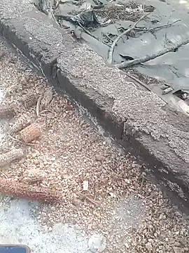 Sweet Dhara online show from 02/16/25, 10:43