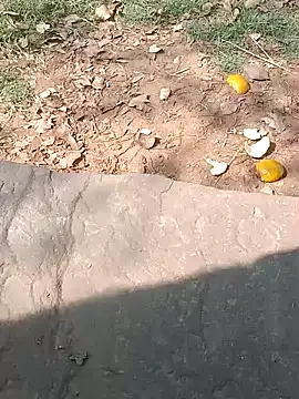 Sweet Dhara online show from 02/20/25, 05:33