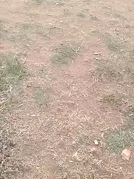 Sweet Dhara online show from 02/26/25, 01:53