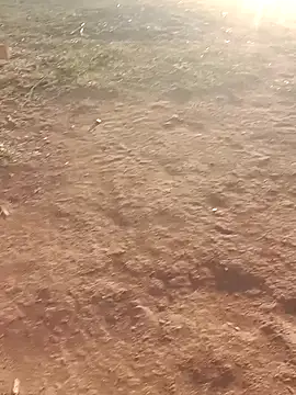 Sweet Dhara online show from 03/06/25, 01:37