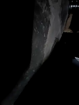 sandip-bhai online show from 12/25/24, 07:02