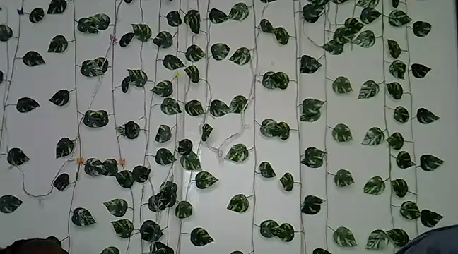 sexybree  online show from 01/23/25, 05:10