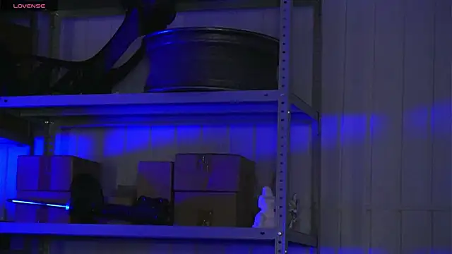 dustyn fox online show from 03/17/26, 03:04