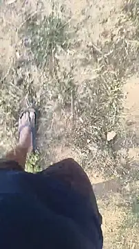 lustboyX online show from 04/03/26, 02:31