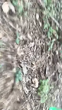 lustboyX online show from 04/05/26, 09:39