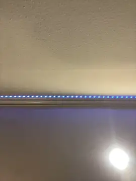 ThicBunz online show from 03/16/25, 09:58