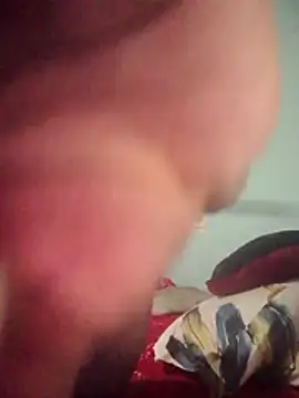 DigCrok online show from 04/08/26, 08:20