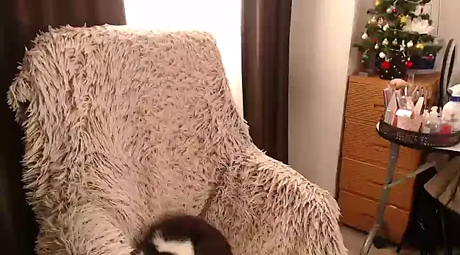 Goddessmxx online show from 12/13/24, 11:55