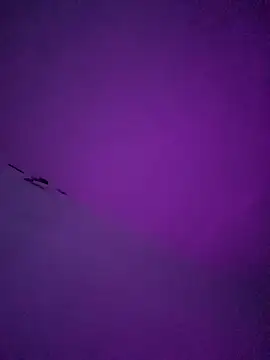 LiosArmando420 online show from 01/06/26, 01:59