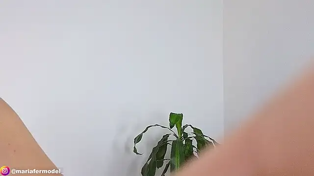 Snapshot of Mariafer05 chatting on 01/02/25, 06:12 Mariafer05 online show from 01/02/25, 06:12