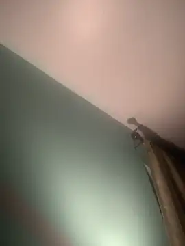 longhairjim online show from 02/09/25, 07:49