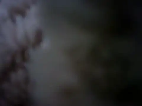 Snapshot of 07YUKIO chatting on 01/24/25, 10:08 07YUKIO online show from 01/24/25, 10:08