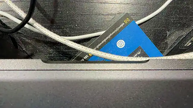 Snapshot of TinyTraps chatting on 12/17/24, 02:11 TinyTraps online show from 12/17/24, 02:11