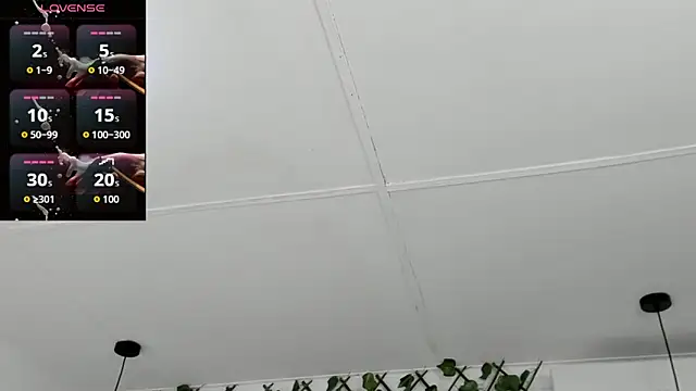 valentina 0  online show from 11/19/25, 08:53