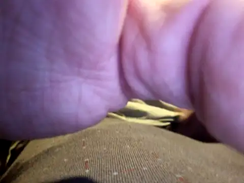 stavroun online show from 12/23/25, 04:10