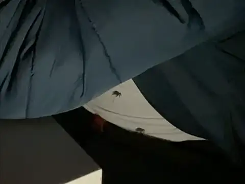 tomazu11 online show from 10/26/25, 06:30