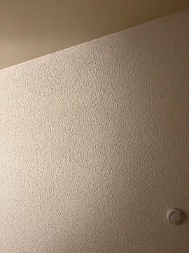 ForkedAlgorithm2 online show from 09/23/25, 04:15