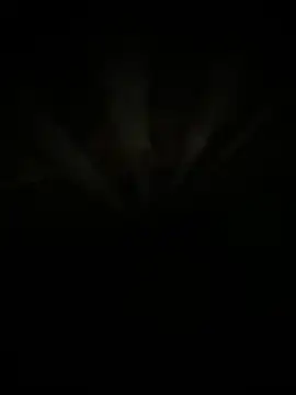 Sofiluisao online show from 03/08/26, 12:42