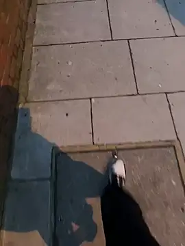 XMenX24 online show from 03/22/25, 06:36