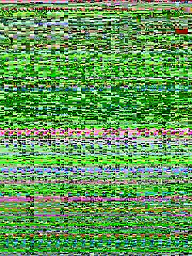 Bella babei01 online show from 01/11/26, 11:04