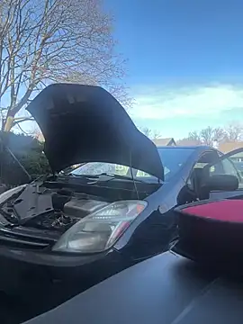 Snapshot of SmokingSloth chatting on 01/26/25, 05:34 SmokingSloth online show from 01/26/25, 05:34