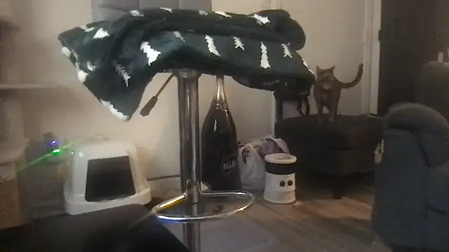 SpunCandy online show from 03/20/26, 08:25