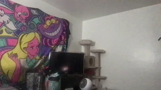 SpunCandy online show from 05/27/26, 08:50