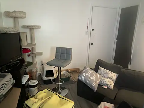 SpunCandy online show from 06/08/26, 03:01