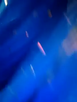 sneha rose online show from 09/08/25, 05:12