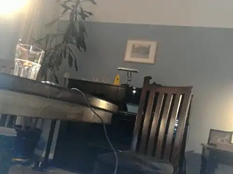 Snapshot of RolfS chatting on 03/17/25, 11:00 RolfS online show from 03/17/25, 11:00