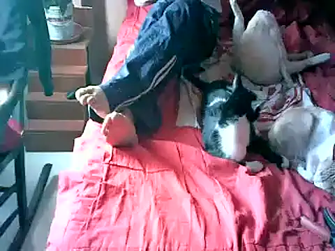 2mgars online show from 09/22/25, 08:44