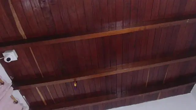 Amara Red online show from 11/01/25, 11:23