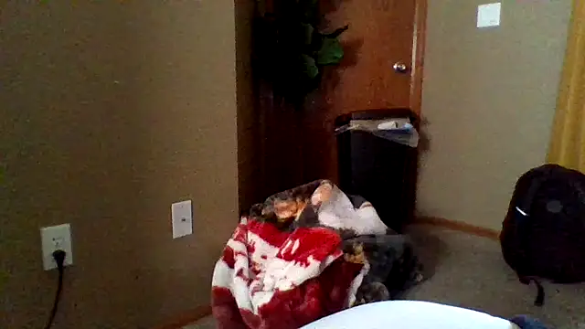 mikeystrong online show from 03/17/25, 08:19