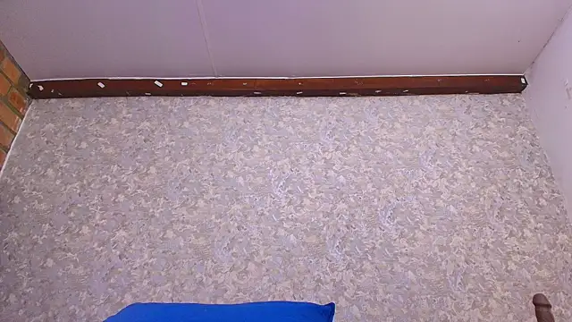 nicol f online show from 01/13/25, 07:21