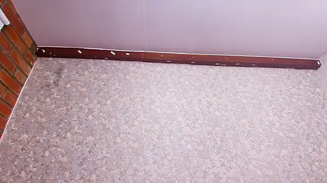 nicol f online show from 02/05/25, 01:26