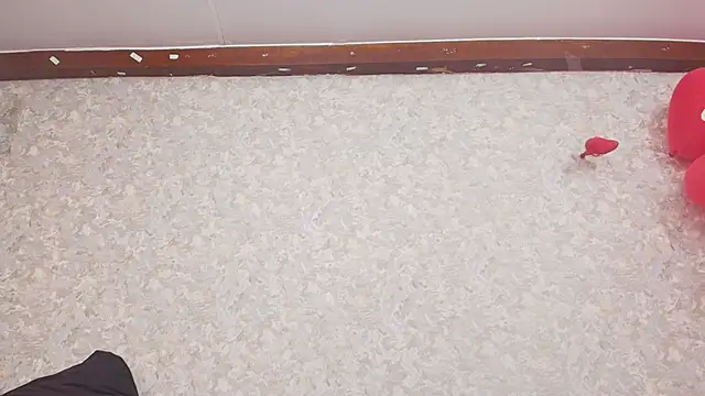 nicol f online show from 02/15/25, 07:17