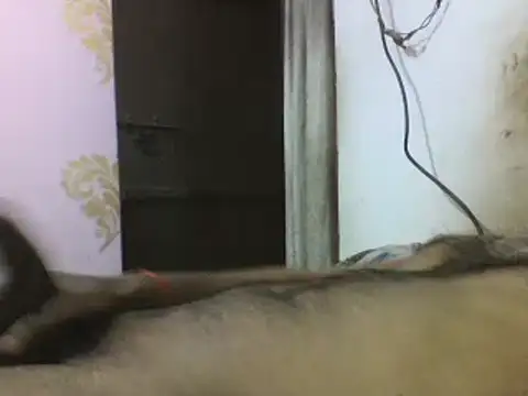 Desi GfBf online show from 03/03/25, 05:50