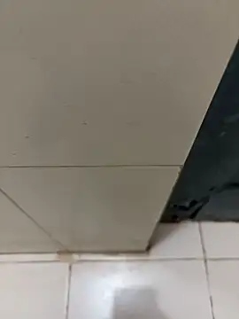 nangakings online show from 12/17/25, 03:18