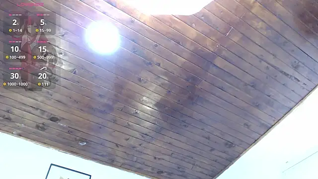 samy l online show from 12/13/24, 05:21