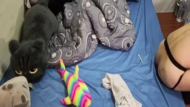 Big19Asia online show from 09/24/25, 03:37