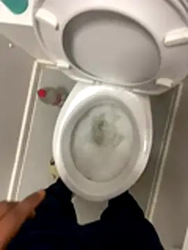 Rastamanzigy22 online show from 11/16/25, 06:19