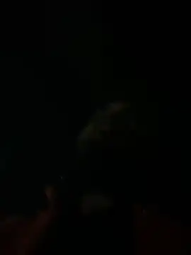 Rastamanzigy22 online show from 02/12/26, 02:06