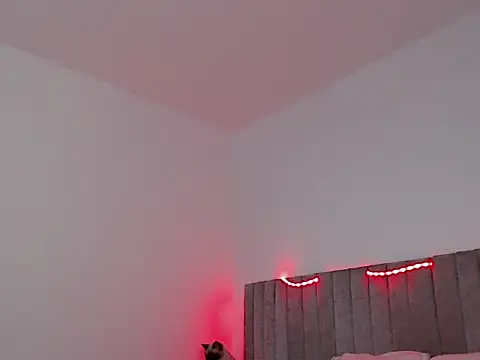 Snapshot of thomas_gun chatting on 11/07/25, 01:49 thomas gun online show from 11/07/25, 01:49