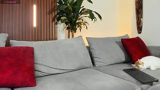 lucasanto  online show from 04/11/26, 04:39